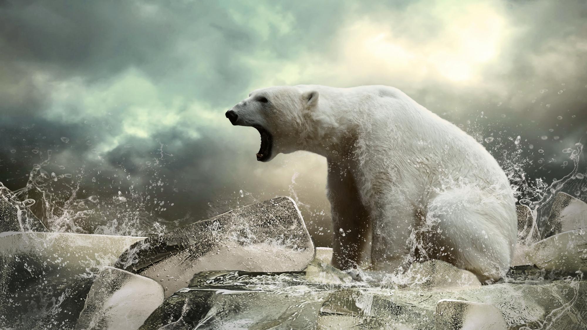polar-bear-3840x2160-ice-roar-ocean-4460.jpg
